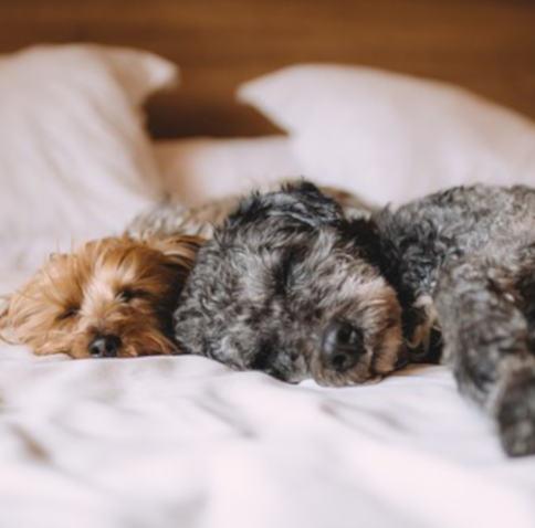 4 Changes to Consider If You are Unable to Sleep - Cool-jams
