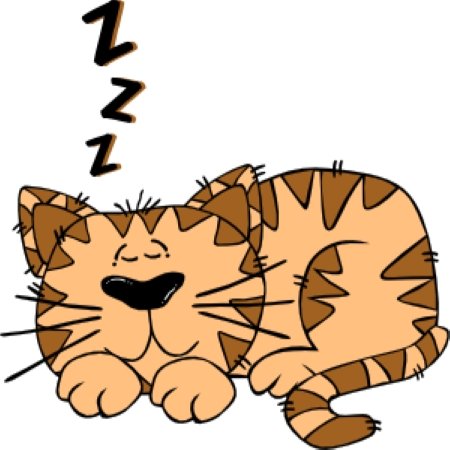 What Happens To Your Body While Sleeping? - Cool-jams