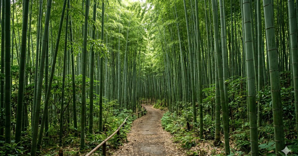 What Is Bamboo Viscose? What It's Good For and How to Care for It - Cool-jams